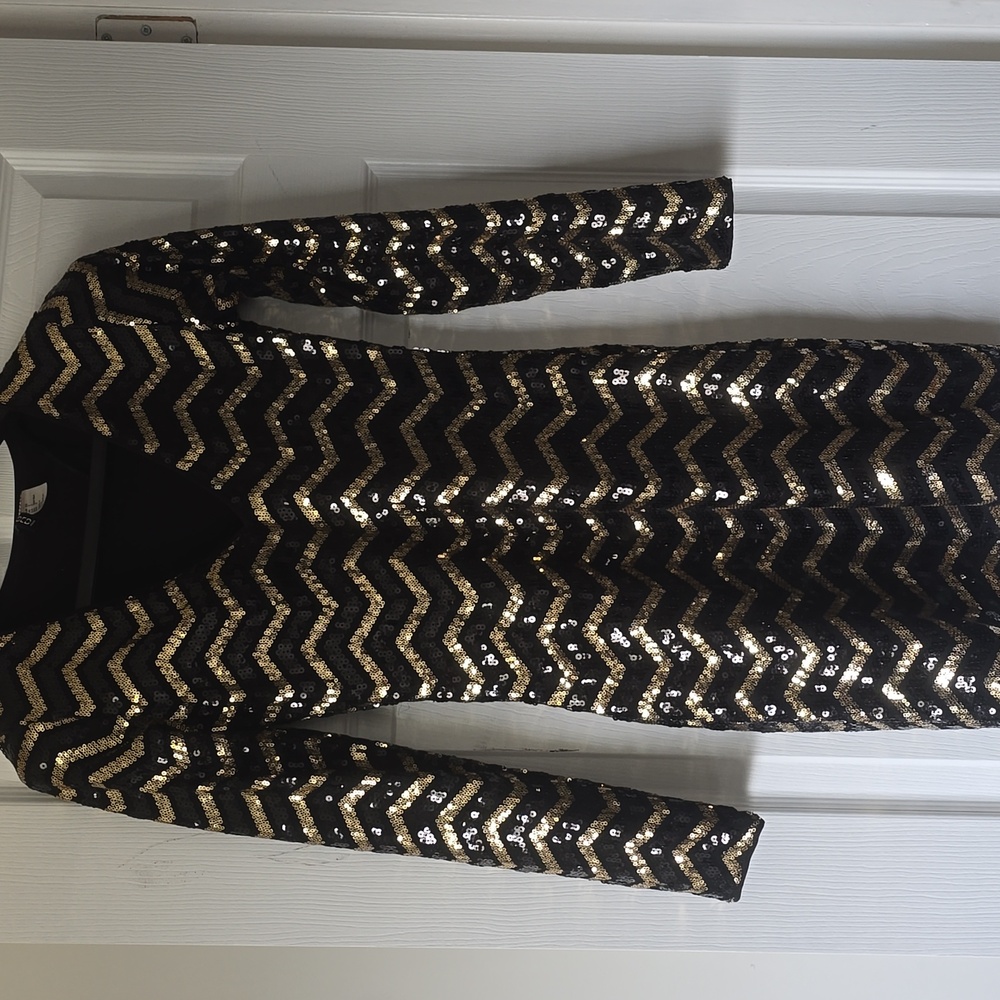 Sequin Long Sleeve Dress